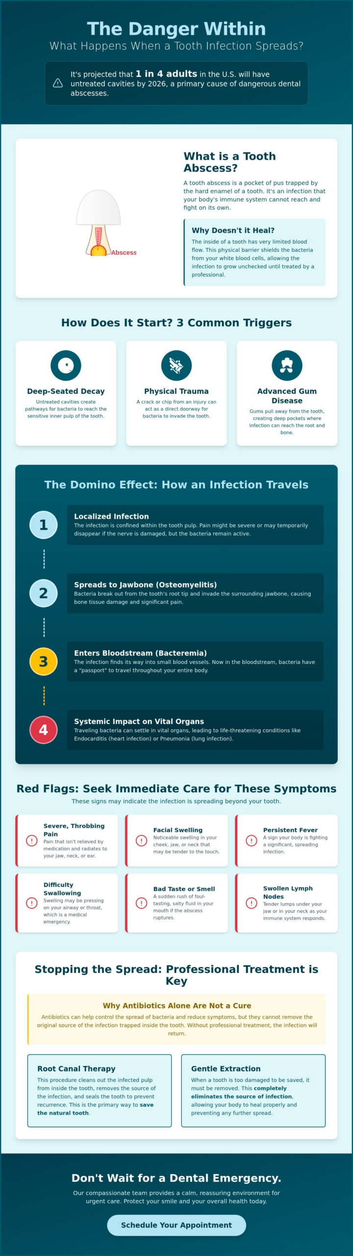 What Happens If a Tooth Infection Spreads? Signs, Risks, and Next Steps