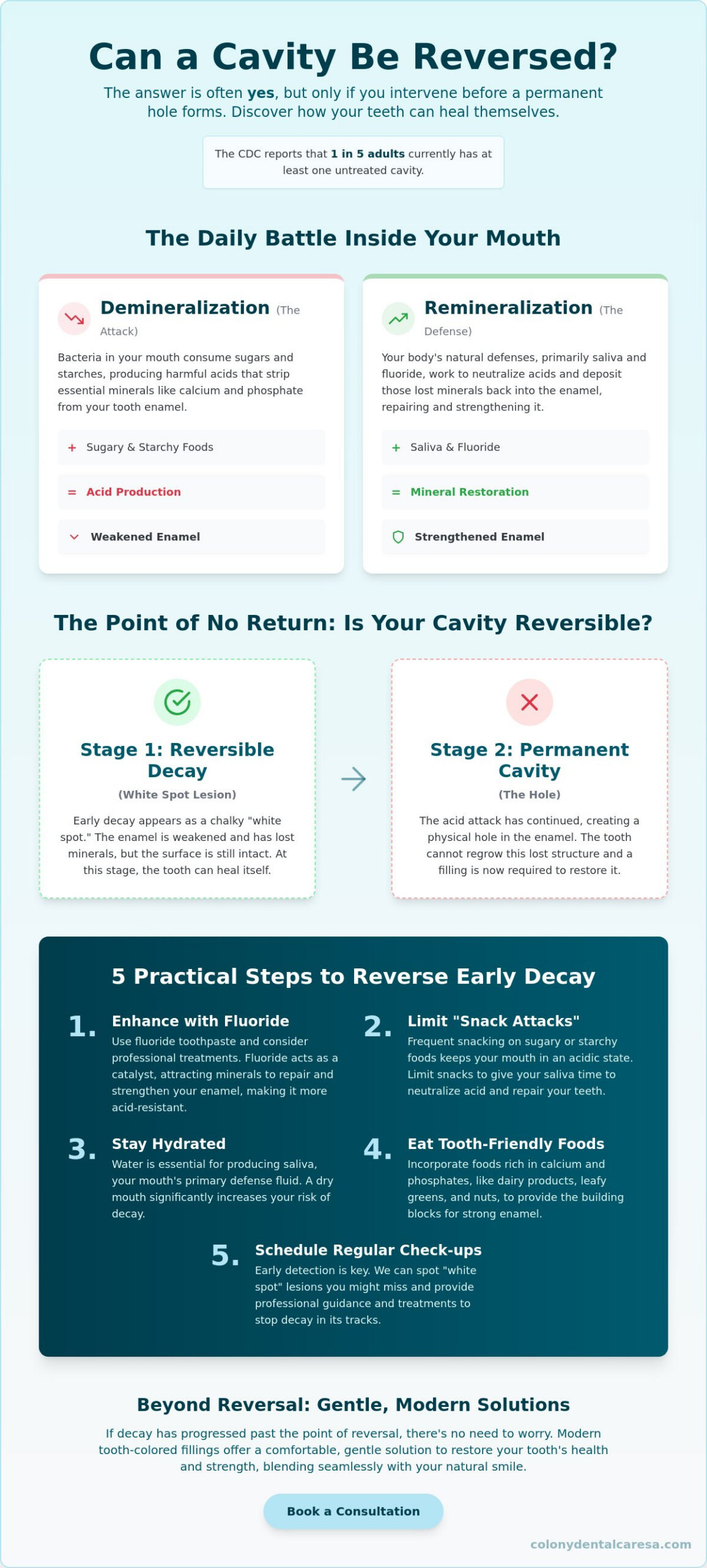 Can a Cavity Be Reversed Understanding the Science of Tooth Repair - Infographic - Colony Dental Caresa Can a Cavity Be Reversed? Understanding the Science of Tooth Repair